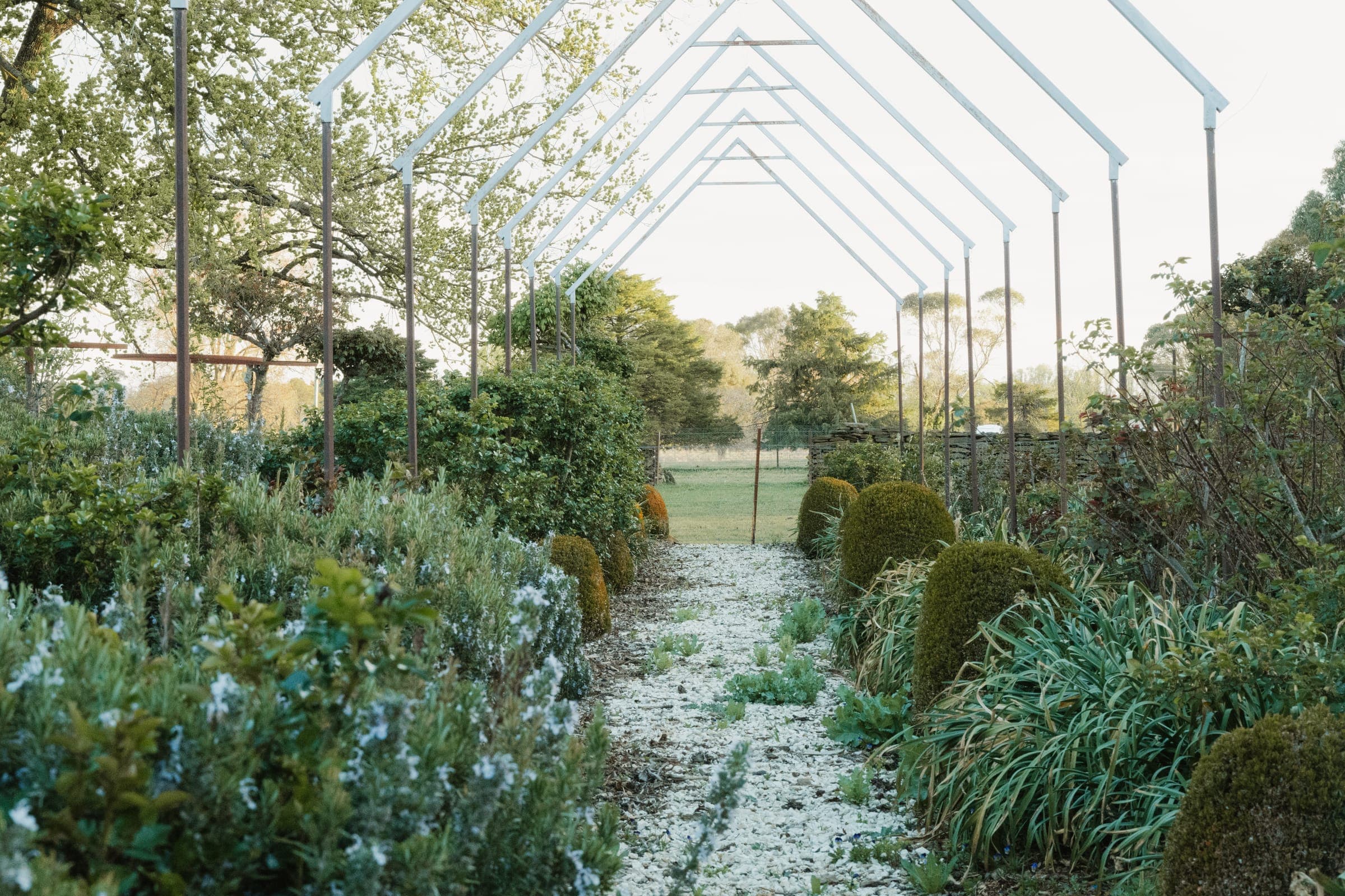 The arbour walk stretching across the garden