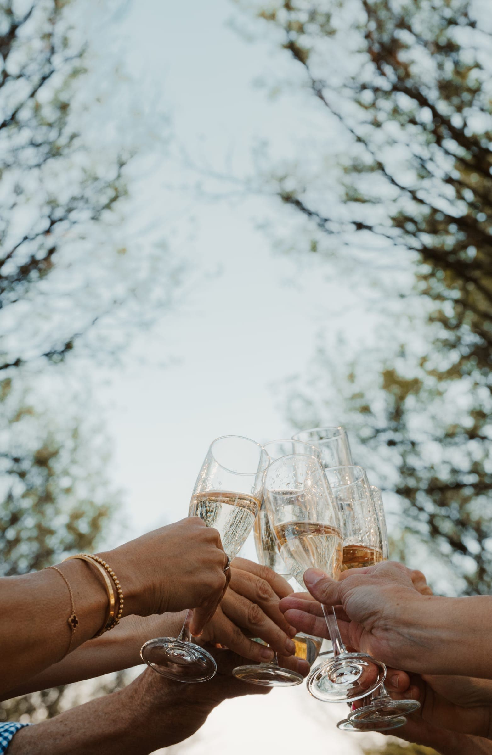 Guests raising a champagne toast beneath the trees