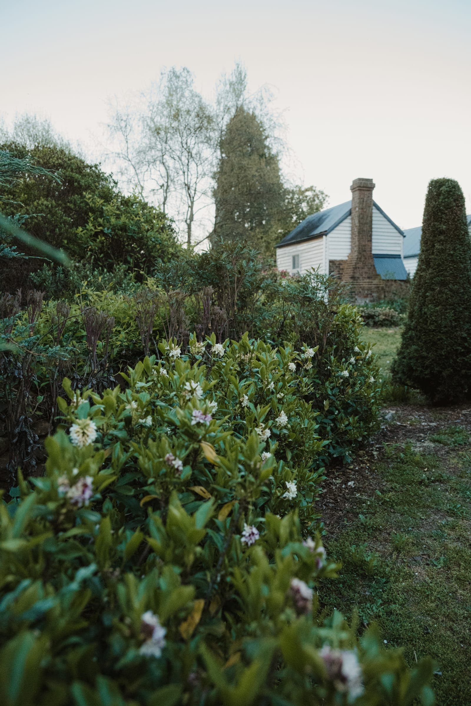The 1890s farmhouse and its brick chimney rising above the garden
