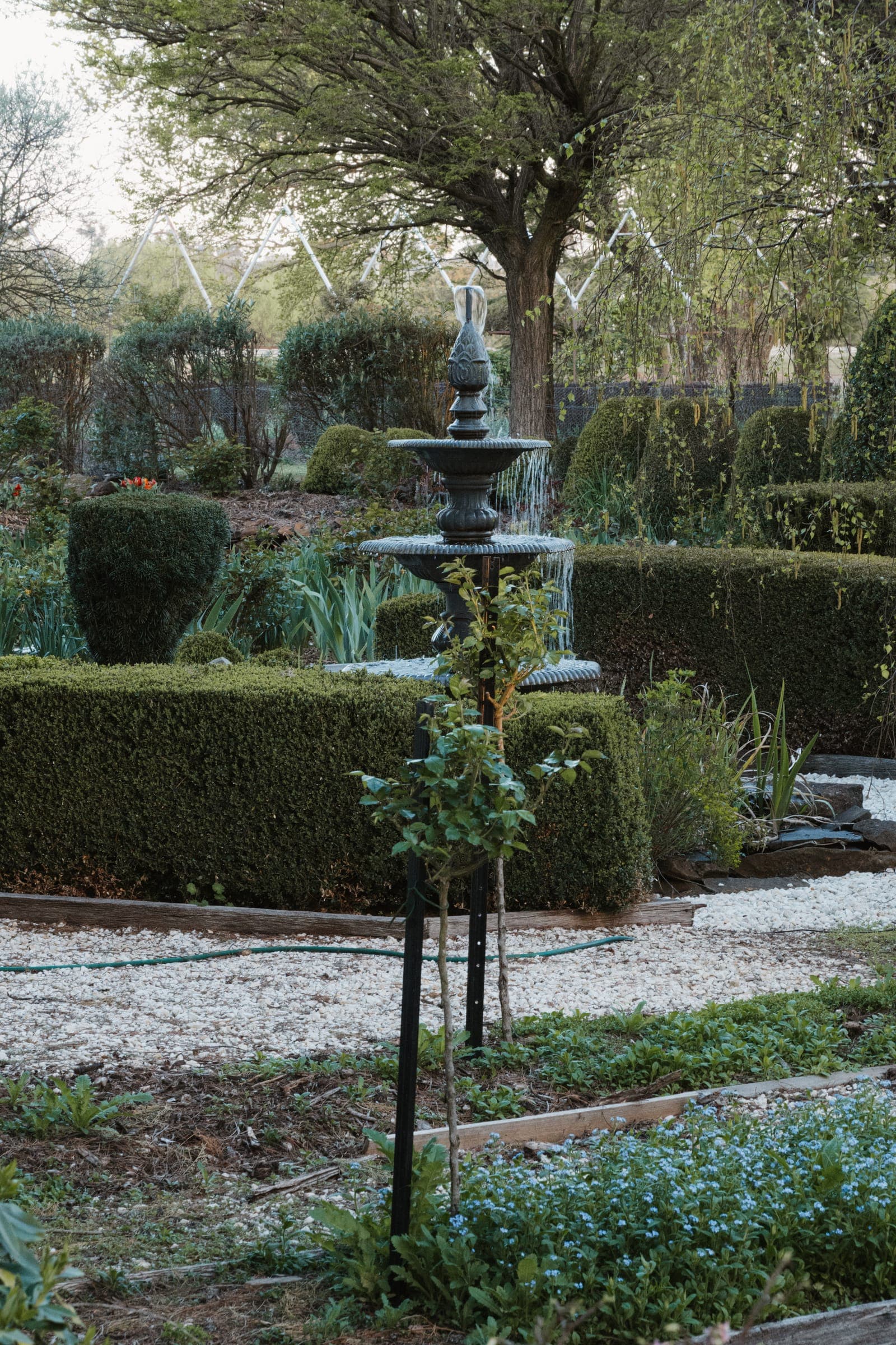 The tiered fountain in the formal parterre