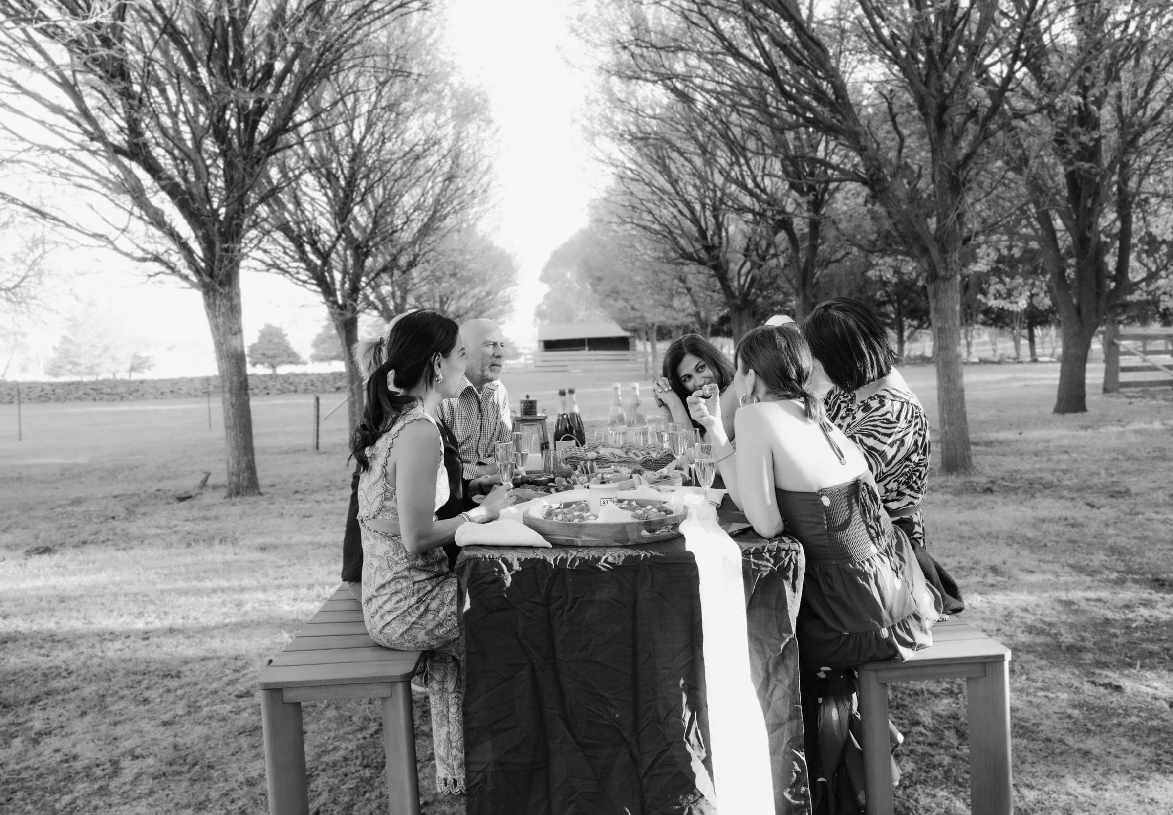 A long lunch beneath the tree avenue, in black and white