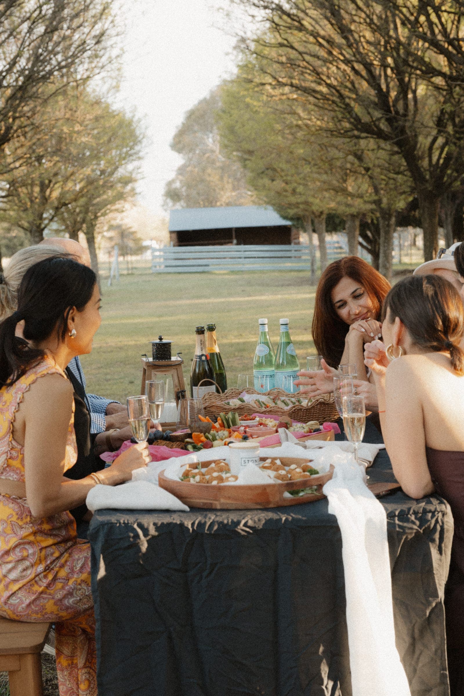 Guests at a long table set beneath the tree avenue