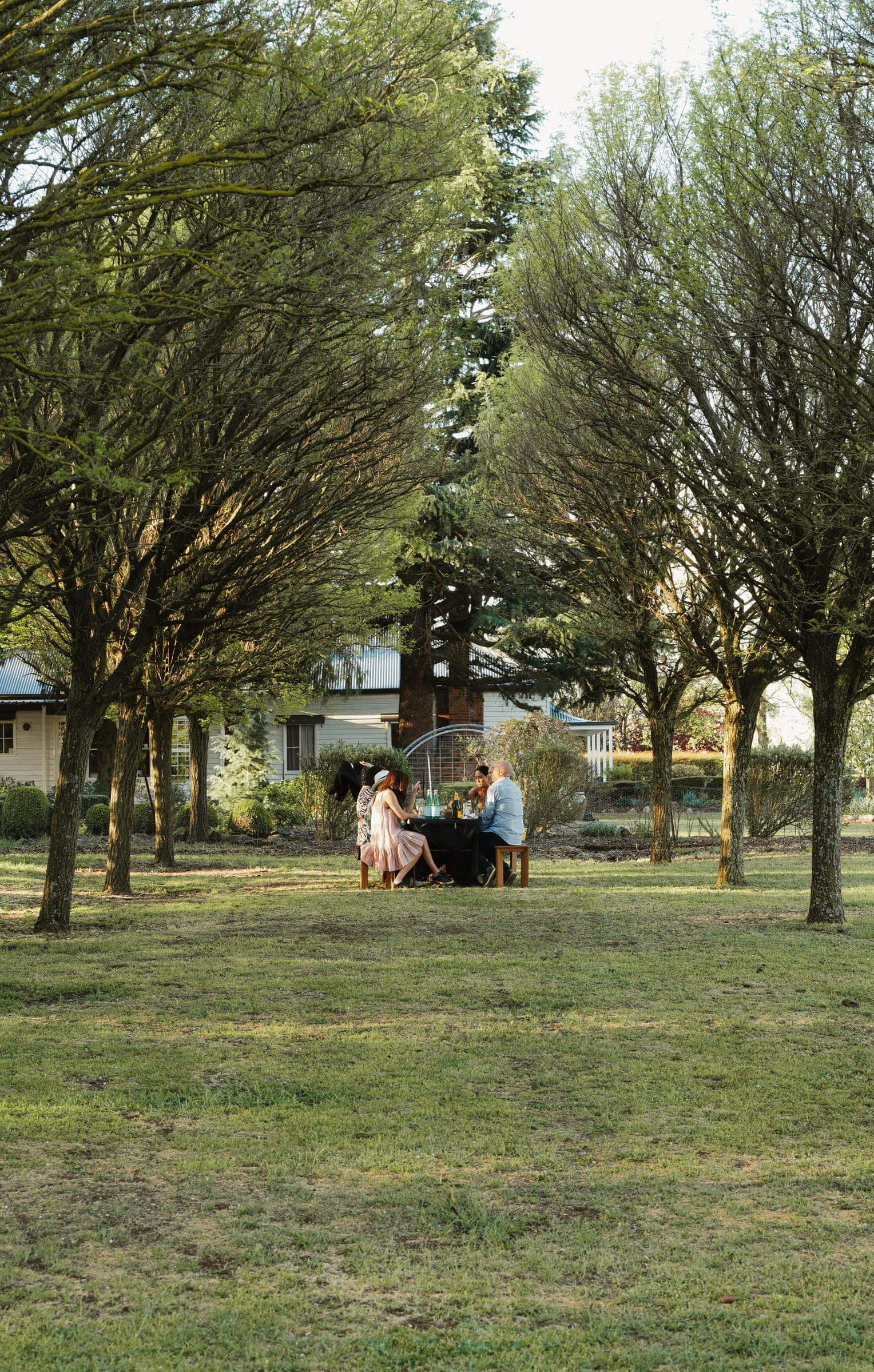 A table for two set at the end of the tree avenue