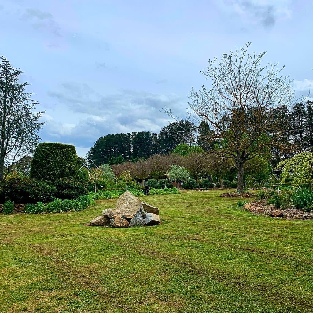 The garden lawn in summer