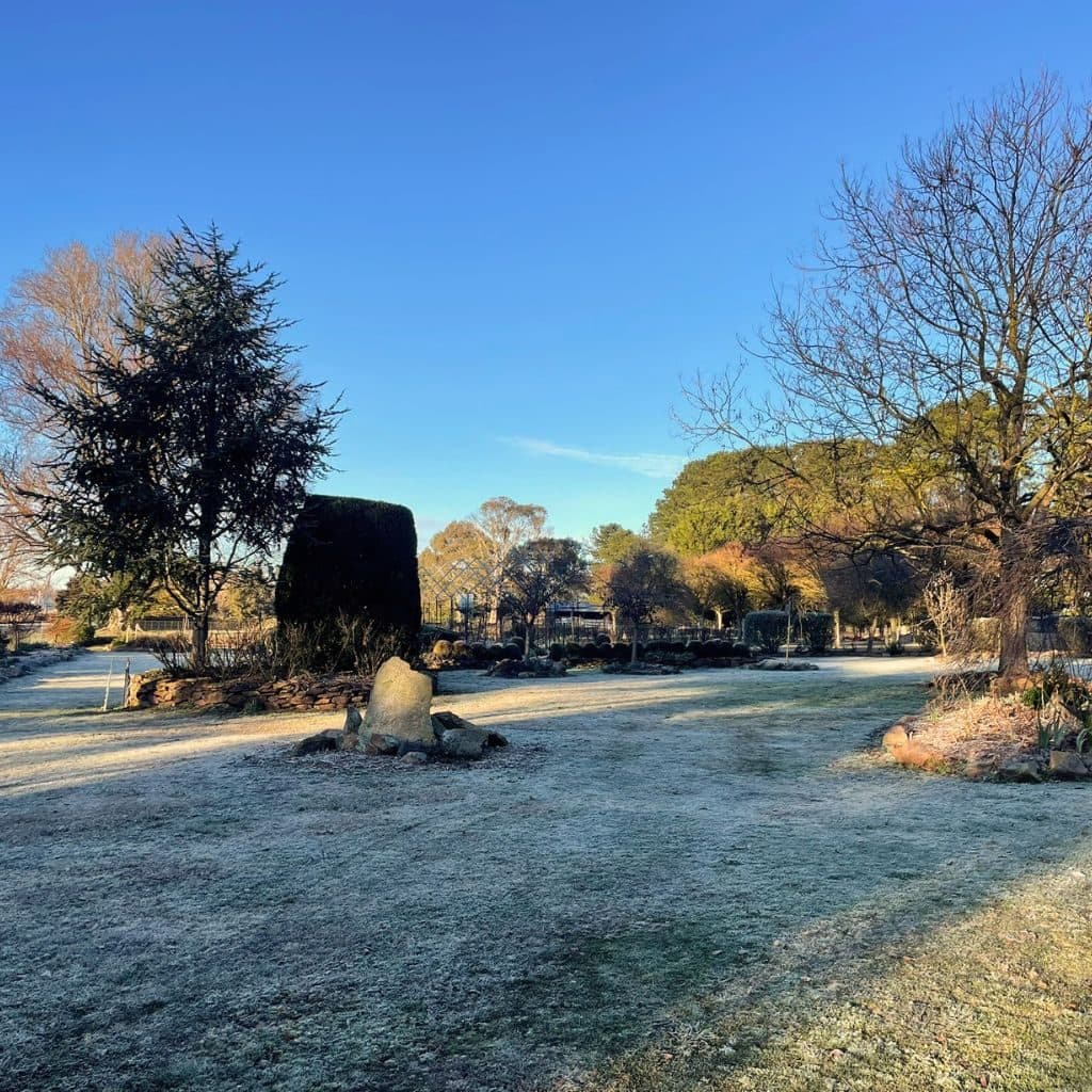 A frosty morning in the garden