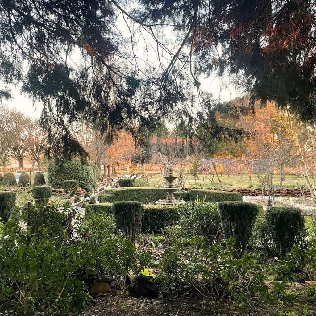 The garden seen from the farmhouse kitchen window