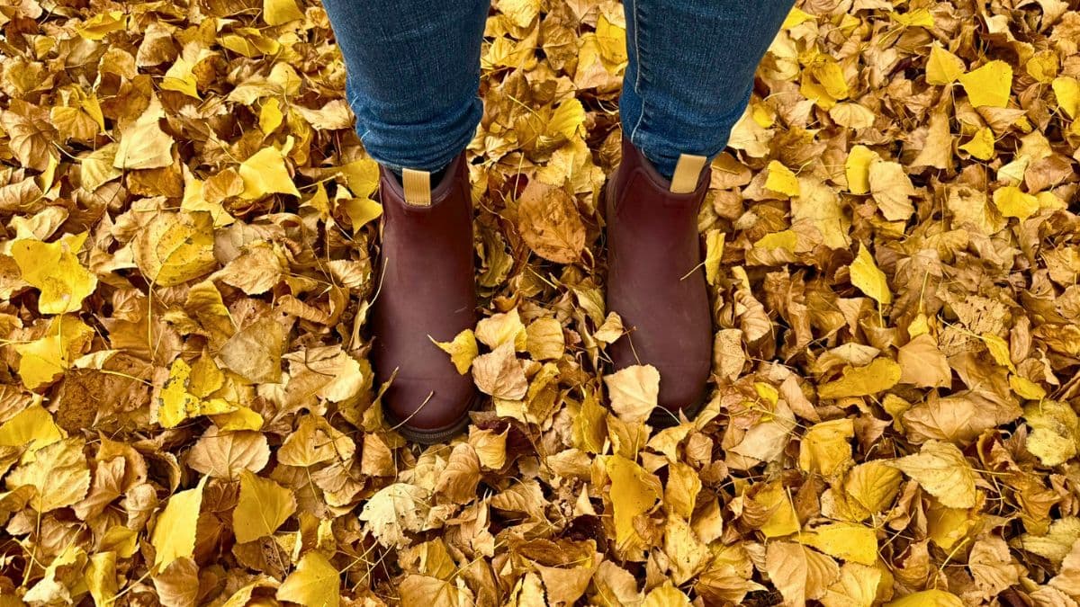 Kicking boots in autumn laeves