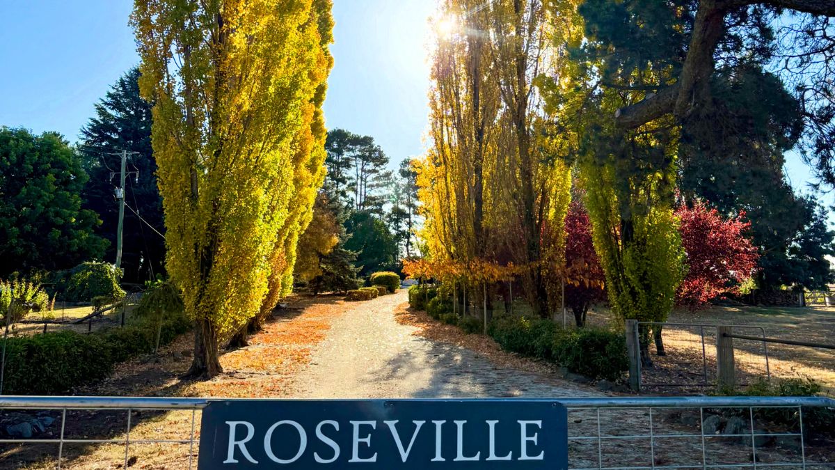 Moving from Sydney to Guyra, NSW: Life at 4,364 ft