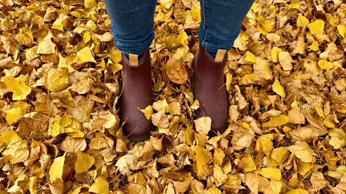 Kicking boots in autumn laeves