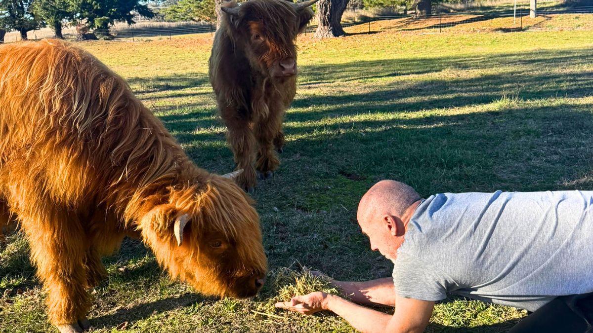 So… Are We Country People Yet?